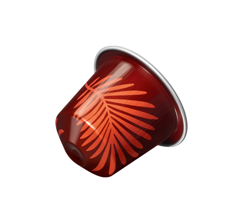 Кава в капсулах Nespresso Forest Fruit Flavour – 10 капсул