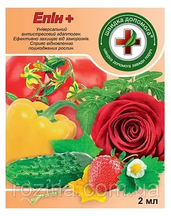 Епін+
