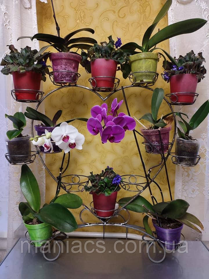 Серце-9, підставка для квітів на 14 чаш, фото 1