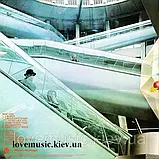 Вінілова платівка THE ALAN PARSONS PROJECT I robot (1977) Vinyl (LP Record), фото 3