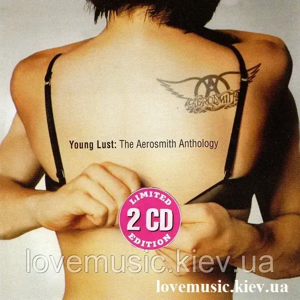Музичний сд диск AEROSMITH Young lust The Aerosmith Antology (2001) (audio cd)