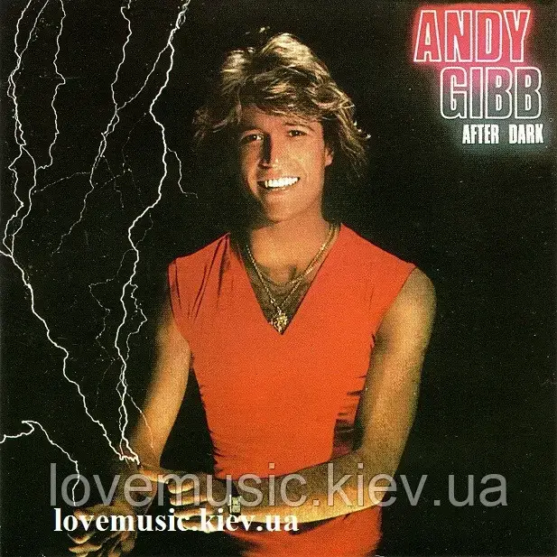 Музичний сд диск ANDY GIBB After dark (1980) (audio cd), фото 1