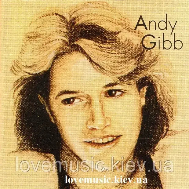 Музичний сд диск ANDY GIBB Andy Gibb (1991) (audio cd)