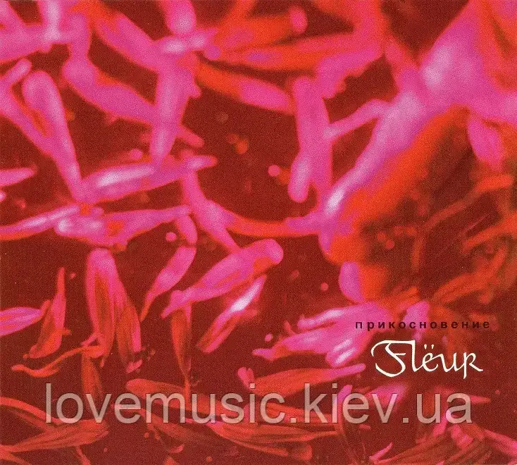 Музичний сд диск FLEUR Прикосновение (2002) (audio cd), фото 1