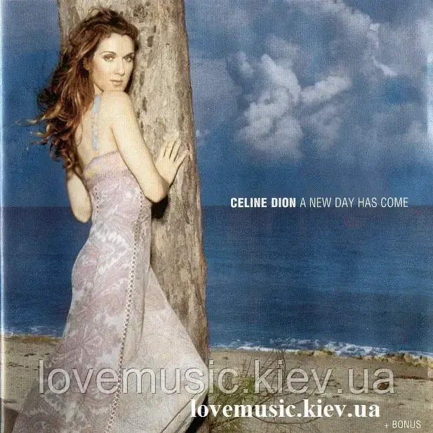 Музичний сд диск CELINE DION A new day has come (2002) (audio cd), фото 1
