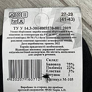 Шкарпетки чоловічі короткі бавовна із сіткою Lux Socks Топ-Тап, арт. М-105, розмір 29-31, асорті, 07708, фото 5