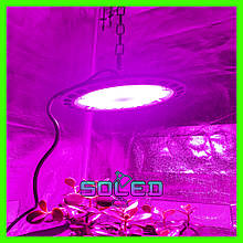 Фитолампа 100 W 150 LED СПЕКТР (Quantum board Mars hydro Гроубокс Микрозелень Лампа для растений) Soled.in.ua