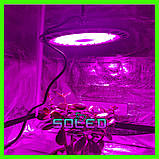 Фітолампа 100 W 150 LED (Quantum board Mars hydro Гроубокс Мікрозелень Лампа для рослин), фото 3