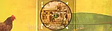 Музичний сд диск ДАХАБРАХА (DakhaBrakha) Alambari (2020) (audio cd), фото 3