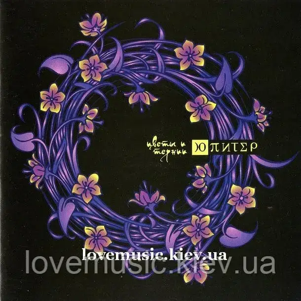 Музичний сд диск Ю-ПІТЕР Квіти та тернії (2010) (audio cd)