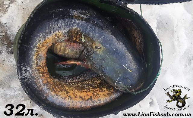 Складные Вёдра LionFish.sub для рыбалки, прикормки, охоты гермо сумка для трофеев