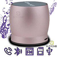 Колонка AWEI Y500 Розовая Беспроводная портативная Музыкальная акустическая Bluetooth система AUX / FM /