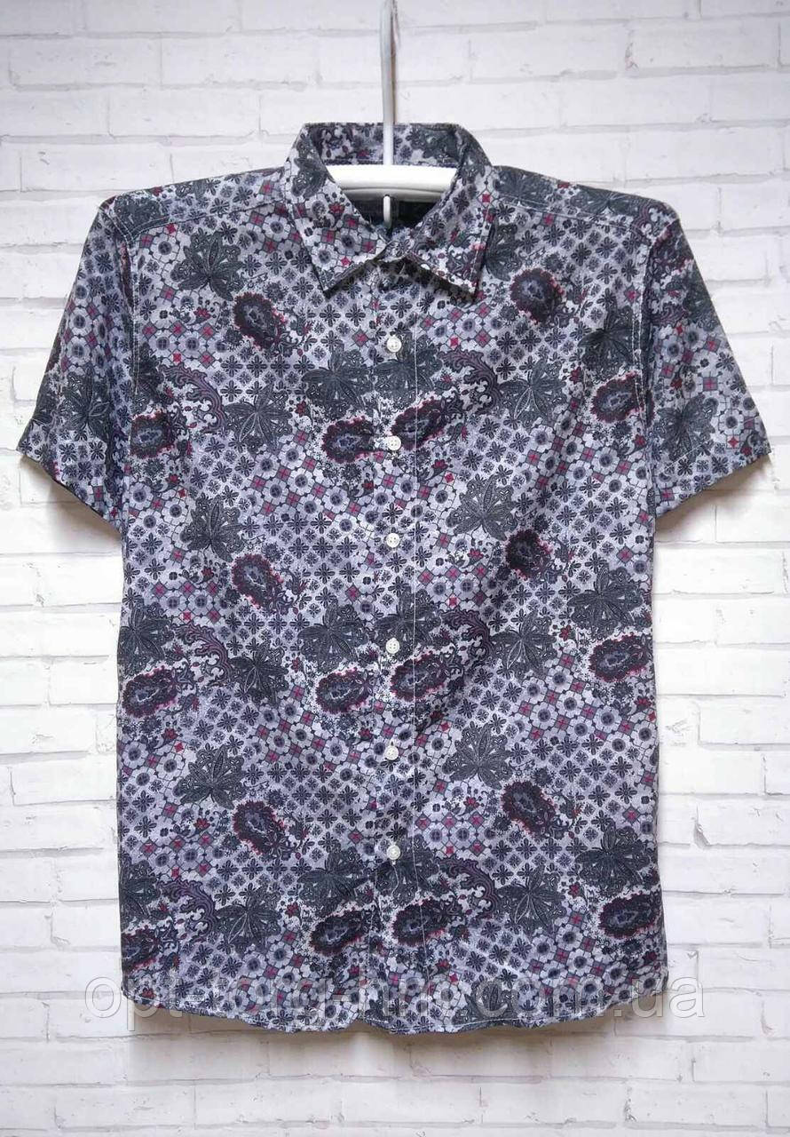 Чоловіча сорочка XXL, фото 1