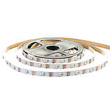 Світлодіодна стрічка SMART RGB WS2812 5V, 5050, 30 led/m, 7.2W, IP20, Standart. Гарантія – 12 місяців, фото 3