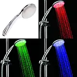 Душова лійка насадка зі світлодіодною підсвіткою Led shower, фото 3