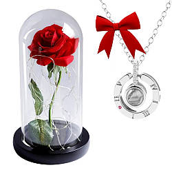 Роза в колбі 20 см з LED підсвічуванням романтичний подарунок нічник + Подарунок Кулон з проектором "Я тебе кохаю"