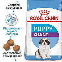 Корм для цуценят ROYAL CANIN GIANT PUPPY 15.0 кг