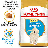 Корм для щенков ROYAL CANIN GOLDEN RETRIEVER PUPPY 3.0 кг