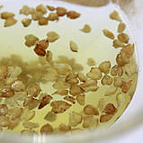 Чай гречаний світлий "Teahouse" Ку Цяо Ча No 734, 100 г, фото 3