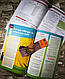Набір книг "Wider World 4 Students' Book & Workbook" Pearson Англійська мова (Підручник + Зошит) Оригінал, фото 4