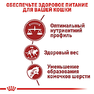 Сухий корм Royal Canin Fit 32 (Роял Канін Фіт) для котів, фото 3