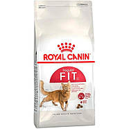 Сухий корм Royal Canin Fit 32 (Роял Канін Фіт) для котів, фото 2