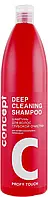 Шампунь глубокой очистки Concept Professionals Profy Touch Deep Cleaning Shampoo 100 ml