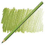 Кольоровий олівець Faber-Castell Polychromos,  Жовтуватий земляний зелений №168 (Green Earth Yellowish), фото 10
