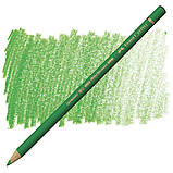 Кольоровий олівець Faber-Castell Polychromos, Листяний зелений №112 (Leaf Green), фото 6