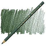Кольоровий олівець Faber-Castell Polychromos, Ялівцевий зелений №165 (Juniper Green), фото 9