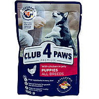 Влажный корм Club 4 Paws Premium Puppies Клуб 4 Лапы для щенков, с курицей в желе, 100 г