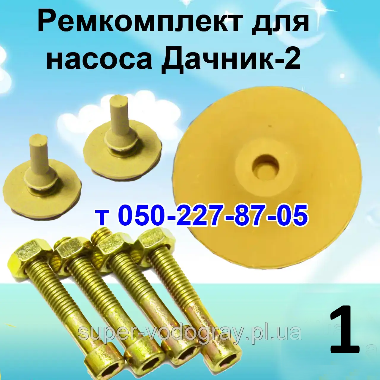 Ремкомплект для насоса Дачник-2 (двухклапанний)