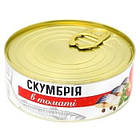 Макрель Філе у томатному соусі Banga Makrele Tomatu Merce Скумбрія 240 г Латвія, фото 4