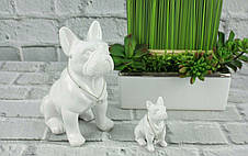 Figurine Bulldog 22см кераміки Посол преміум Статуетка Бренд Європи, фото 3
