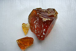 Каніфоль соснова