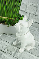 Figurine Bulldog 22см кераміки Посол преміум Статуетка Бренд Європи, фото 4