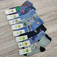 Шкарпетки дитячі високі весна/осінь малюнок асорті р.16 (5-6) ЕКО Україна 30035281, фото 4