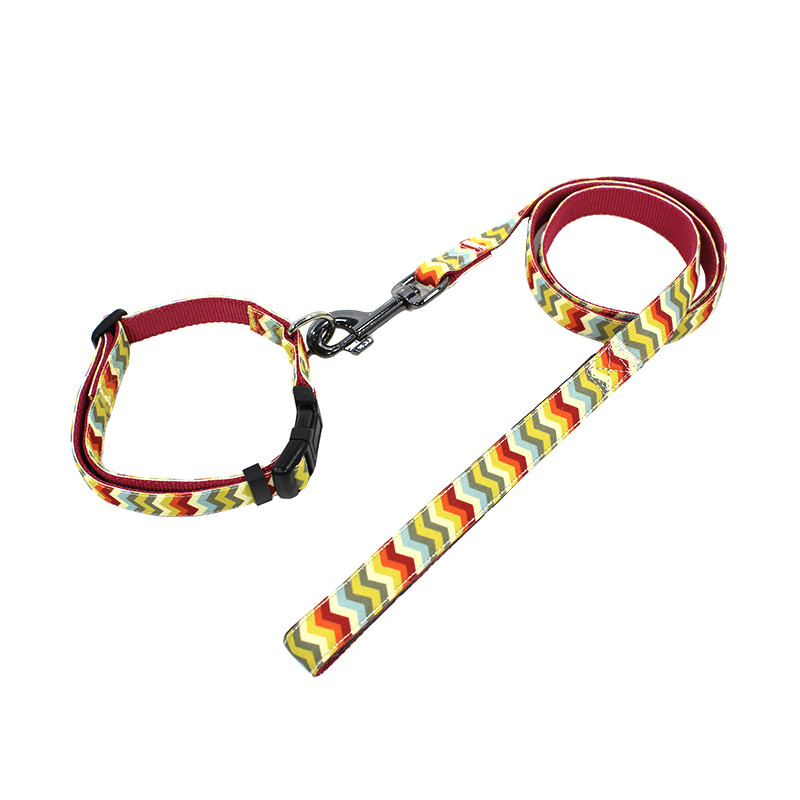 Нашийник для собак TUFF HOUND TC00305 Colorful Wave (2.0*38-51) з повідцем принтом