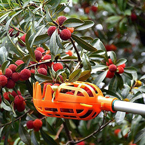 Купить Инструмент для сбора ягод и фруктов (плодосниматель), цена 149 ...