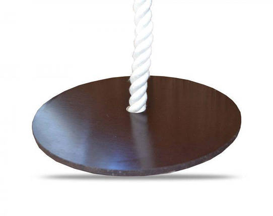 Диск тарзанка для шведської стінки YDA навантаження 80 кг, фото 1