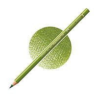 Кольоровий олівець Faber-Castell Polychromos,  Жовтуватий земляний зелений №168 (Green Earth Yellowish)