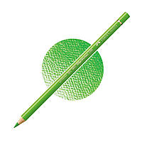 Кольоровий олівець Faber-Castell Polychromos, Трав'янистий зелений №166 (Grass Green)