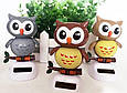 Фигурка FlipFla Сова танцующая на солнечной батарее, фото 3