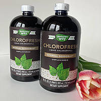 Nature's Way, chlorophyll рідкий хлорофіл з нейтральним смаком, Chlorofresh 480 мл