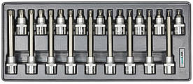 Whirlpower Набір головок зі вставкою Torx 1/2" Т20-Т60 18од ложемент