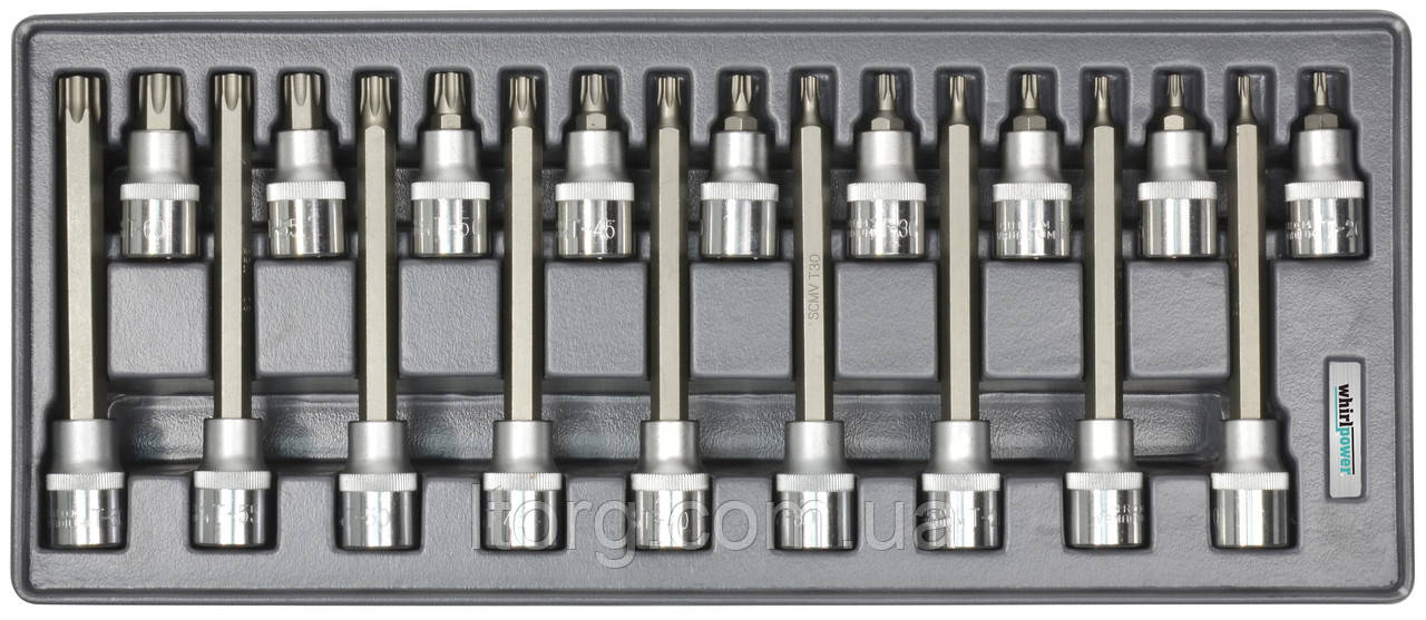 Whirlpower Набір головок зі вставкою Torx 1/2" Т20-Т60 18од ложемент