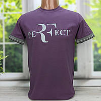 Футболка чоловіча фіолетова с прінтом HECTOR