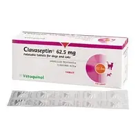 Клавасептин 62,5 мг таблетки №10