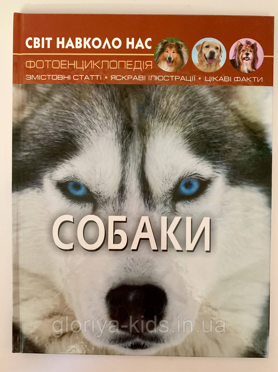 Книга Залізнична техніка. Фотоенциклопедія Світ навколо нас, фото 1