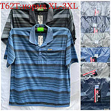 Чоловіча футболка 2-5XL купити оптом